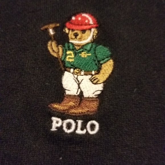 Ralph Lauren polo Bear Collection hoodie - Picture 1 of 3